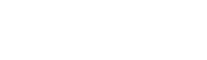 Shopify Partner